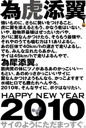 2010.jpg