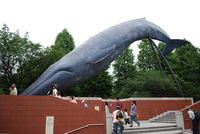 DSC_0465.jpg