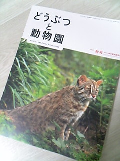 どうぶつと動物園 平成20年 秋号