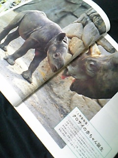どうぶつと動物園
